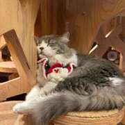 ヒメ日記 2024/12/20 14:42 投稿 せいら 虹色メロンパイ 横浜店