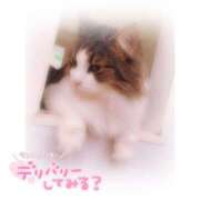 ヒメ日記 2025/02/22 19:43 投稿 せいら 虹色メロンパイ 横浜店