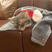 ヒメ日記 2025/03/09 22:38 投稿 せいら 虹色メロンパイ 横浜店