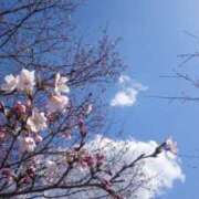 ヒメ日記 2025/03/24 06:00 投稿 せいら 虹色メロンパイ 横浜店