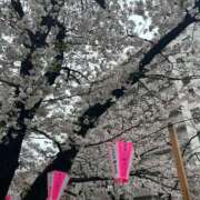 ヒメ日記 2025/04/03 14:39 投稿 せいら 虹色メロンパイ 横浜店