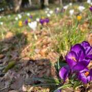 ヒメ日記 2025/04/07 06:14 投稿 せいら 虹色メロンパイ 横浜店