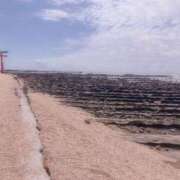 ヒメ日記 2025/04/08 08:29 投稿 せいら 虹色メロンパイ 横浜店