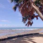 ヒメ日記 2025/04/11 23:39 投稿 せいら 虹色メロンパイ 横浜店