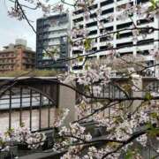 ヒメ日記 2025/04/15 23:38 投稿 せいら 虹色メロンパイ 横浜店