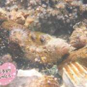 ヒメ日記 2025/05/21 13:55 投稿 せいら 虹色メロンパイ 横浜店