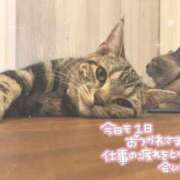 ヒメ日記 2025/05/29 18:09 投稿 せいら 虹色メロンパイ 横浜店