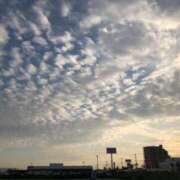 ヒメ日記 2025/09/01 16:11 投稿 せいら 虹色メロンパイ 横浜店