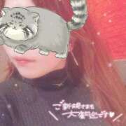 ヒメ日記 2025/09/07 02:13 投稿 せいら 虹色メロンパイ 横浜店