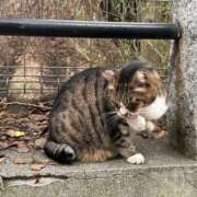 ヒメ日記 2025/10/15 15:01 投稿 せいら 虹色メロンパイ 横浜店