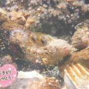 ヒメ日記 2025/10/22 23:03 投稿 せいら 虹色メロンパイ 横浜店