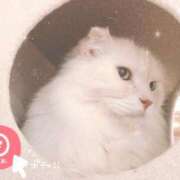 ヒメ日記 2025/10/28 23:34 投稿 せいら 虹色メロンパイ 横浜店