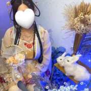 ヒメ日記 2025/11/01 23:34 投稿 せいら 虹色メロンパイ 横浜店