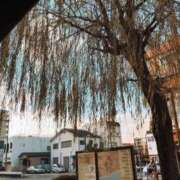 ヒメ日記 2025/11/02 15:21 投稿 せいら 虹色メロンパイ 横浜店