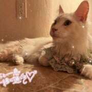 ヒメ日記 2025/12/19 03:10 投稿 せいら 虹色メロンパイ 横浜店