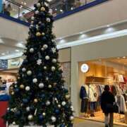 ヒメ日記 2025/12/25 14:51 投稿 せいら 虹色メロンパイ 横浜店