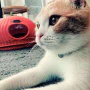 ヒメ日記 2025/12/31 23:10 投稿 せいら 虹色メロンパイ 横浜店