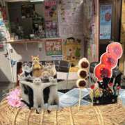 ヒメ日記 2026/02/24 14:52 投稿 せいら 虹色メロンパイ 横浜店