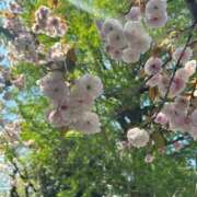 ヒメ日記 2026/04/12 12:53 投稿 せいら 虹色メロンパイ 横浜店