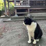 ヒメ日記 2026/04/17 19:45 投稿 せいら 虹色メロンパイ 横浜店