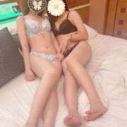 ヒメ日記 2025/10/22 12:17 投稿 せいら かりんと秋葉原