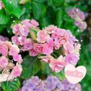 ヒメ日記 2025/07/04 16:53 投稿 つばめ 横浜シンデレラ（シンデレラグループ）