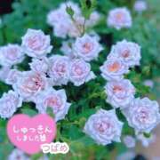 ヒメ日記 2025/10/30 15:56 投稿 つばめ 横浜シンデレラ（シンデレラグループ）