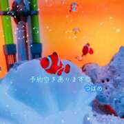 ヒメ日記 2025/11/28 16:45 投稿 つばめ 横浜シンデレラ（シンデレラグループ）