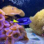 ヒメ日記 2025/07/14 23:49 投稿 あき 奥様鉄道69 岡山店