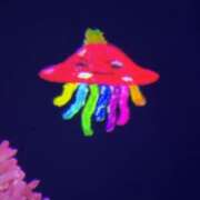 ヒメ日記 2025/12/10 12:23 投稿 らんか ドMバスターズ 京都店