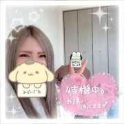 ヒメ日記 2026/03/07 15:30 投稿 らんか ドMバスターズ 京都店