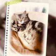 ヒメ日記 2025/02/02 15:15 投稿 れん バイオレンス