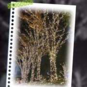 ヒメ日記 2025/02/04 22:53 投稿 れん バイオレンス