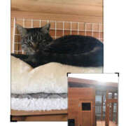 ヒメ日記 2025/02/07 19:25 投稿 れん バイオレンス