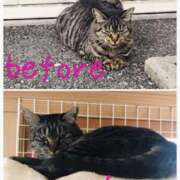 ヒメ日記 2025/02/07 19:58 投稿 れん バイオレンス