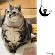 ヒメ日記 2025/04/05 05:15 投稿 れん バイオレンス