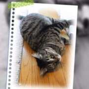 ヒメ日記 2025/04/08 19:26 投稿 れん バイオレンス