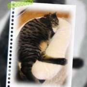 ヒメ日記 2025/04/17 16:45 投稿 れん バイオレンス