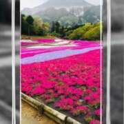 ヒメ日記 2025/05/01 22:45 投稿 れん バイオレンス