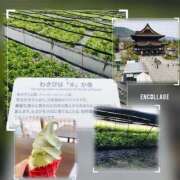 ヒメ日記 2025/05/14 05:25 投稿 れん バイオレンス