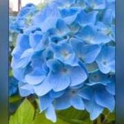 ヒメ日記 2025/06/04 04:45 投稿 れん バイオレンス