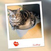 ヒメ日記 2025/08/26 05:27 投稿 れん バイオレンス