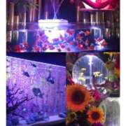 ヒメ日記 2025/08/29 21:25 投稿 れん バイオレンス