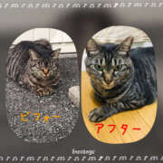 ヒメ日記 2025/10/02 05:15 投稿 れん バイオレンス