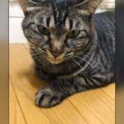 ヒメ日記 2025/10/19 04:55 投稿 れん バイオレンス