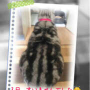 ヒメ日記 2025/11/05 09:25 投稿 れん バイオレンス