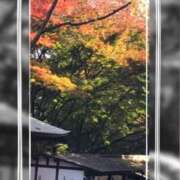 ヒメ日記 2025/11/05 09:41 投稿 れん バイオレンス