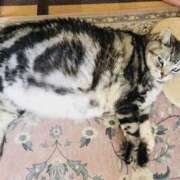 れん 12月2日(火) バイオレンス