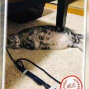 ヒメ日記 2026/01/23 08:43 投稿 れん バイオレンス