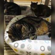 ヒメ日記 2026/02/05 12:05 投稿 れん バイオレンス